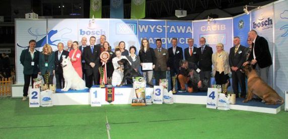 XXII Międzynarodowa Wystawa Psów Rasowych w Expo Silesia