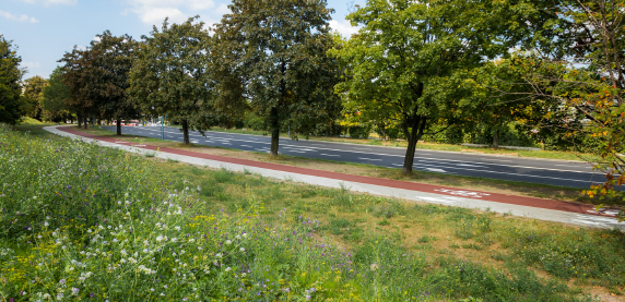 Ulica ks. Blachnickiego jak nowa