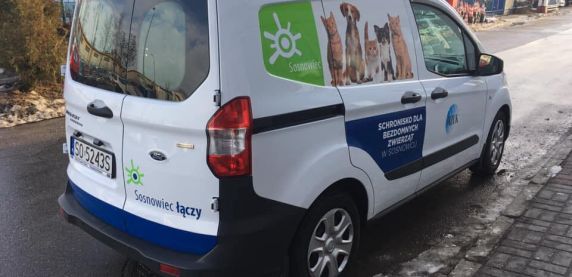 Widzisz błąkające się zwierzęta - zareaguj!