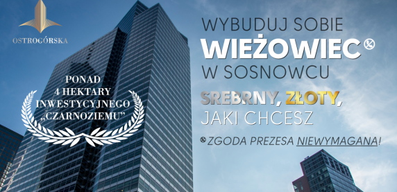 Kolejny przetarg na sprzedaż terenu po dawnym „Szkieletorze”