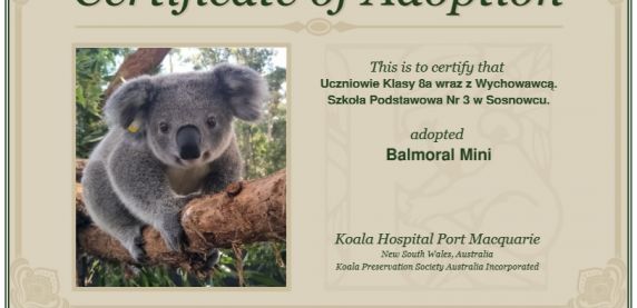 Uczniowie adoptowali misia koalę