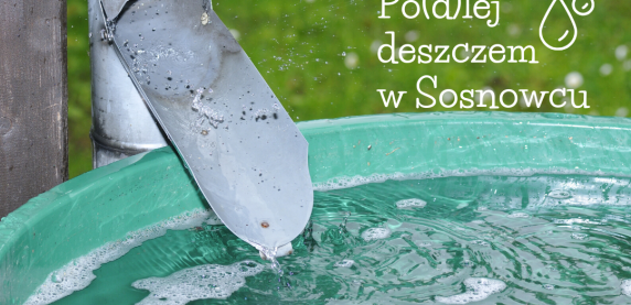 Jak wykorzystać deszczówkę ?
