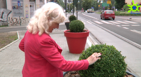 Więcej zieleni w centrum - relacja TV Sosnowiec