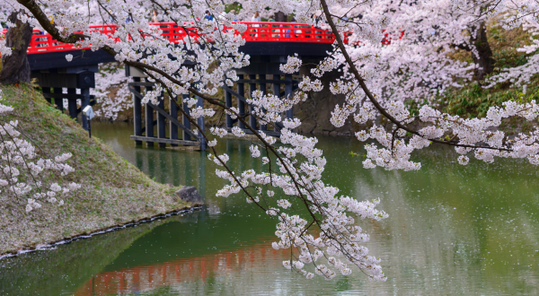 Japonia w Egzotarium