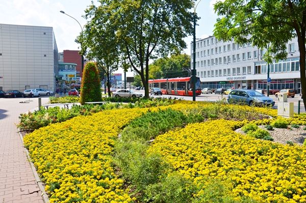 Zagłosuj na Sosnowiec w Turnieju Miast
