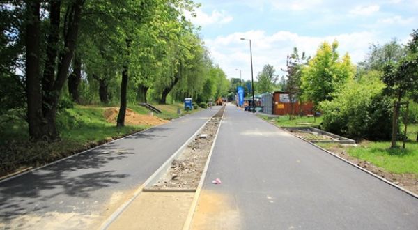 Stawiki w trakcie wielkich zmian [GALERIA]