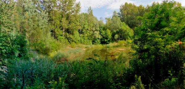 Zapomniany park odzyska blask