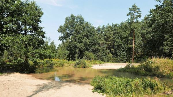 Wycieczka z Maczek przez Piernikarkę do ujścia Sztoły w Ryszce