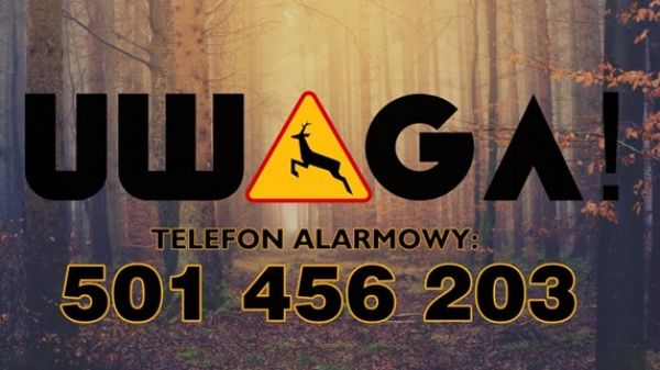 MZUK będzie pomagał dzikim zwierzętom