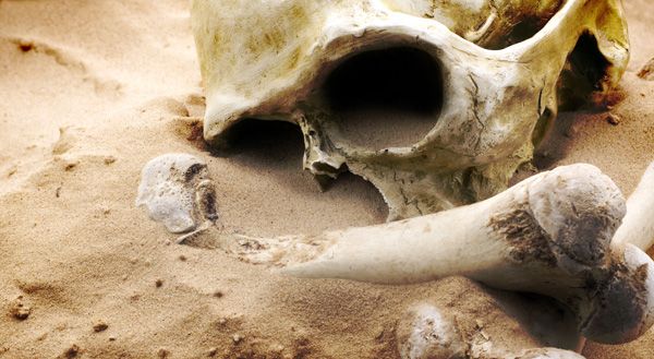 Archeologiczna autostrada