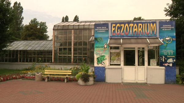 Konsultacje w sprawie Egzotarium - relacja TV Sosnowiec