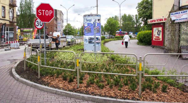 Kolejne elementy zieleni w centrum