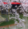 Japonia w Egzotarium