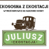 Ekososna z Ekostacji! Wymień surowce na sadzonki sosny.