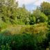 Zapomniany park odzyska blask