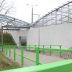 Sosnowiec był grzeczny przez 12 miesięcy, dlatego też coś znalazł pod choinką
