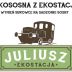 Ekososna z Ekostacji. Wymień surowce na sadzonki sosny
