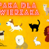 Paka dla zwierzaka