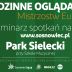 Rodzinne oglądanie EURO w Parku Sieleckim