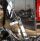 Auto Moto Show