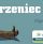 Ogromne wyróżnienie dla „Korzeńca”