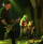 Metalfest w relacji TV Sosnowiec